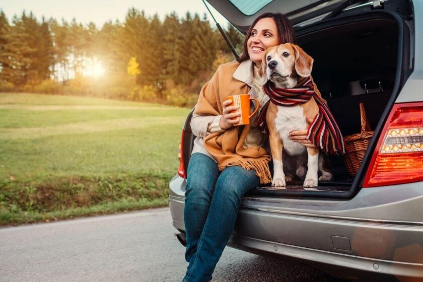 Best Cars for Dog owners in 2019!